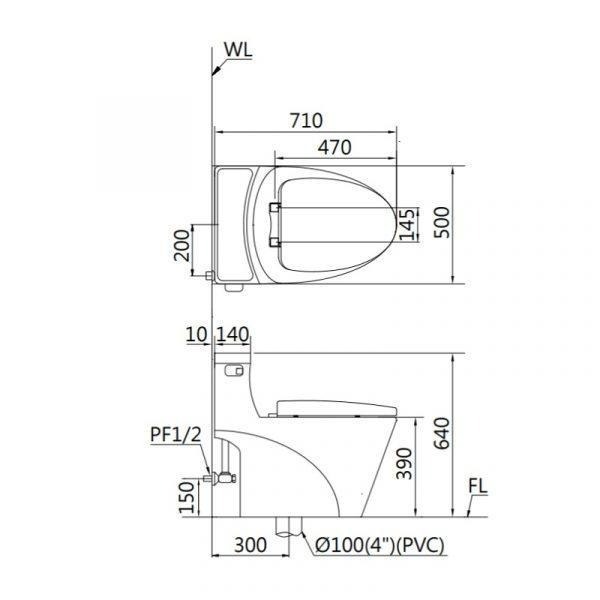 🚚限時免運 Caesar 凱撒 省水單體馬桶 靜音馬桶 便座 省水馬桶 抗汙抗菌 經典低水箱 C1353 (含發票)-細節圖8