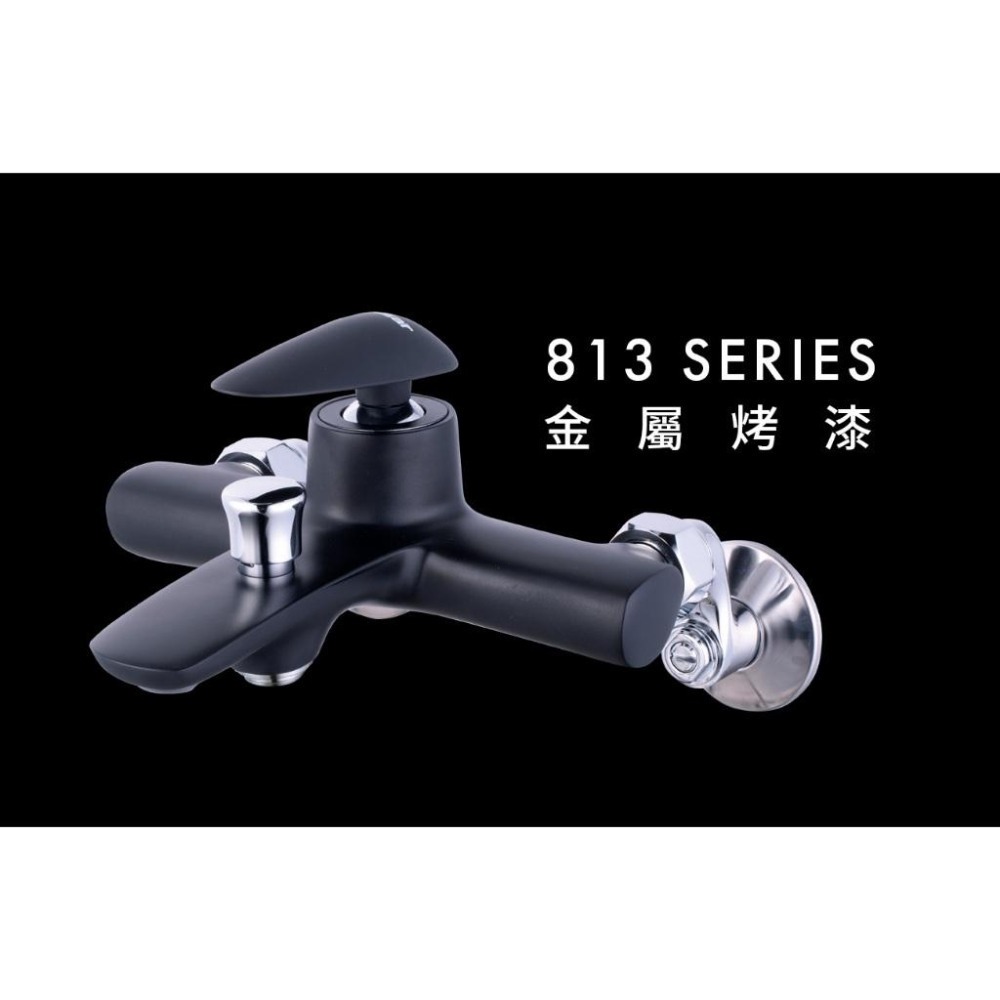 Caesar 凱撒 沐浴龍頭組 沐浴龍頭 淋浴龍頭 蓮蓬頭 墨黑 工業風 龍頭 浴室淋浴 S813CB (含發票)-細節圖3