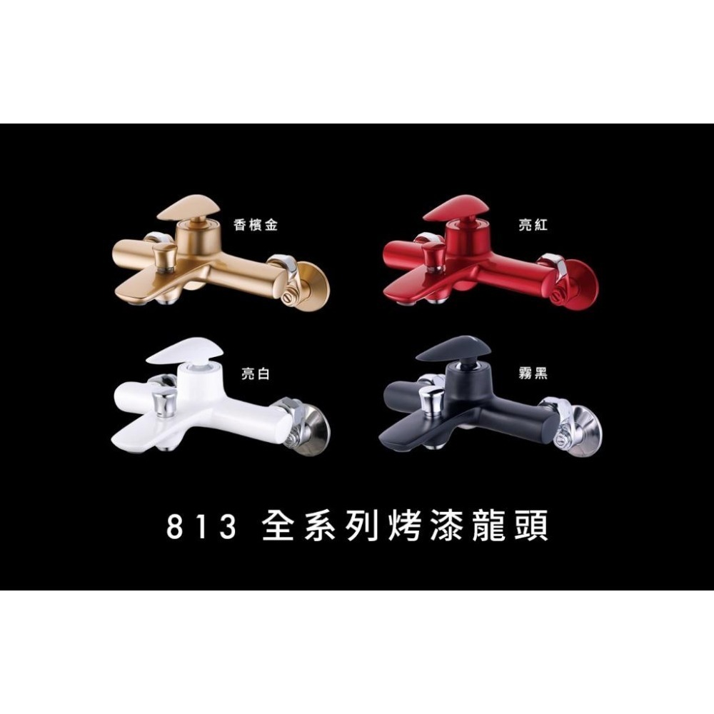 Caesar 凱撒 沐浴龍頭組 沐浴龍頭 淋浴龍頭 蓮蓬頭 墨黑 工業風 龍頭 浴室淋浴 S813CB (含發票)-細節圖7