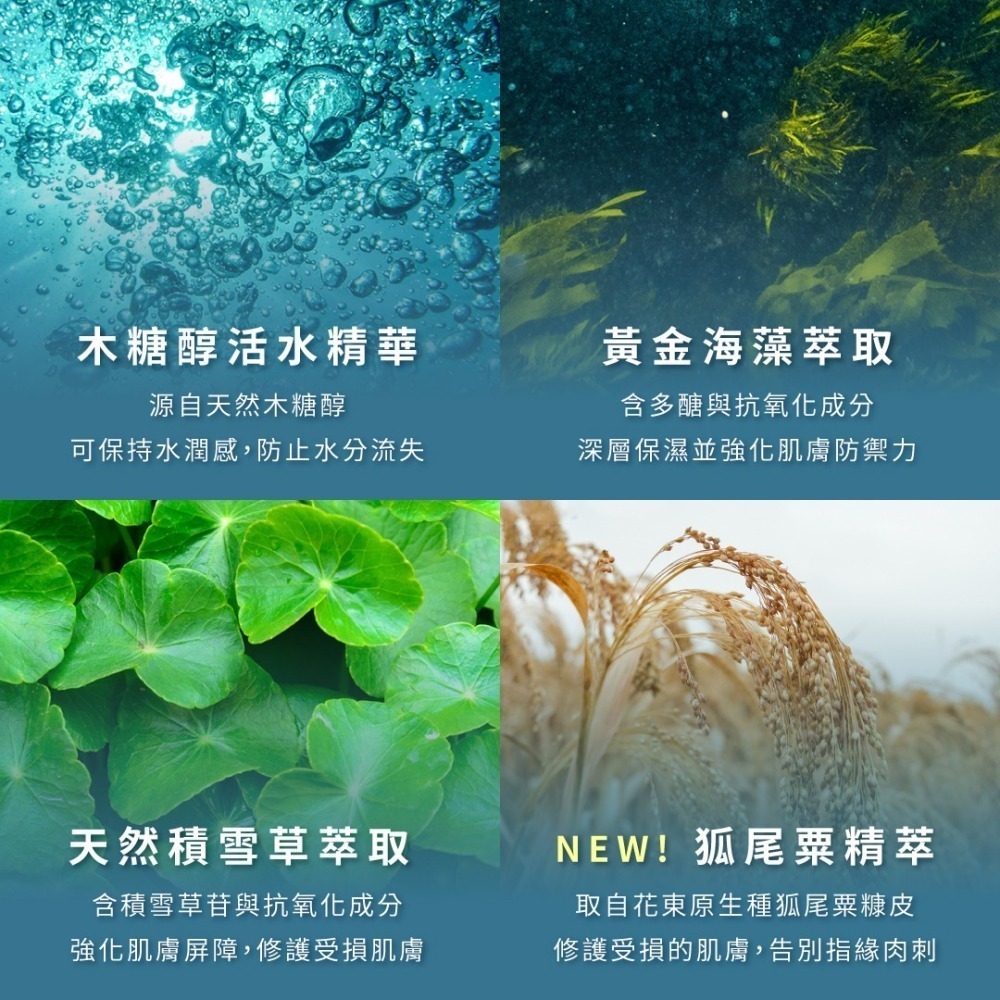 INGENI 新肌霓－隱形防護美手霜 50ml／常洗手適用／護手霜／防止乾裂／滋潤／保養-細節圖4