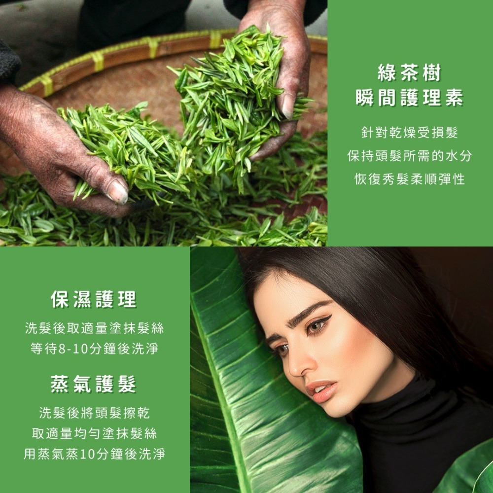 SSUNE 綠茶樹瞬間護理素 4000ml／護髮乳／乾燥受損／保濕／一般髮質適用／柔順彈性-細節圖3