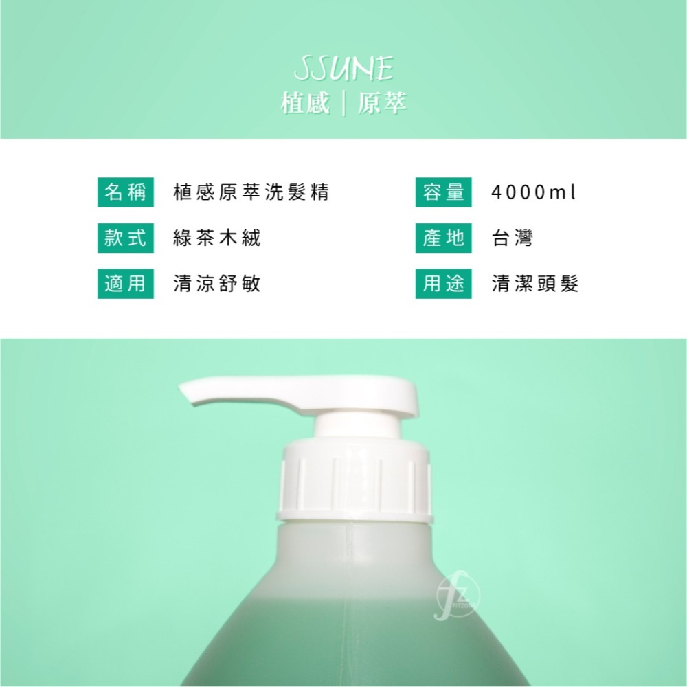 SSUNE 植感原萃洗髮精－綠茶木絨 4000ml／洗髮乳／舒緩／調理頭皮／清爽／控油／綠茶／木絨-細節圖2