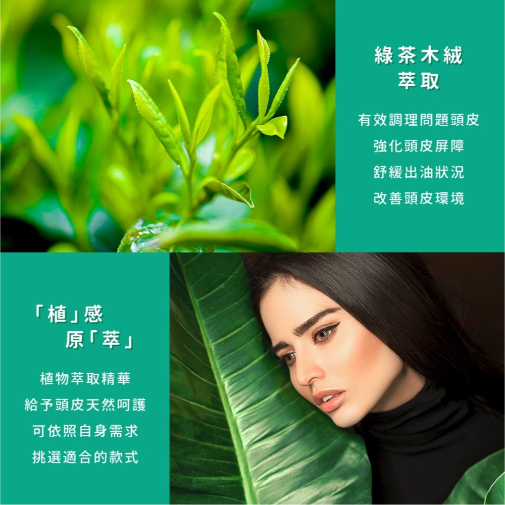 SSUNE 植感原萃洗髮精－綠茶木絨 4000ml／洗髮乳／舒緩／調理頭皮／清爽／控油／綠茶／木絨-細節圖3