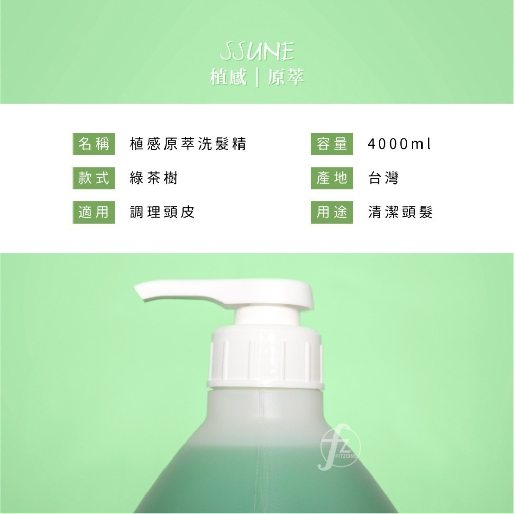 SSUNE 綠茶樹洗髮精 4000ml／洗髮乳／護髮乳／潤髮乳／清爽／出油／調理頭皮／舒緩頭皮／綠茶樹精油-細節圖2