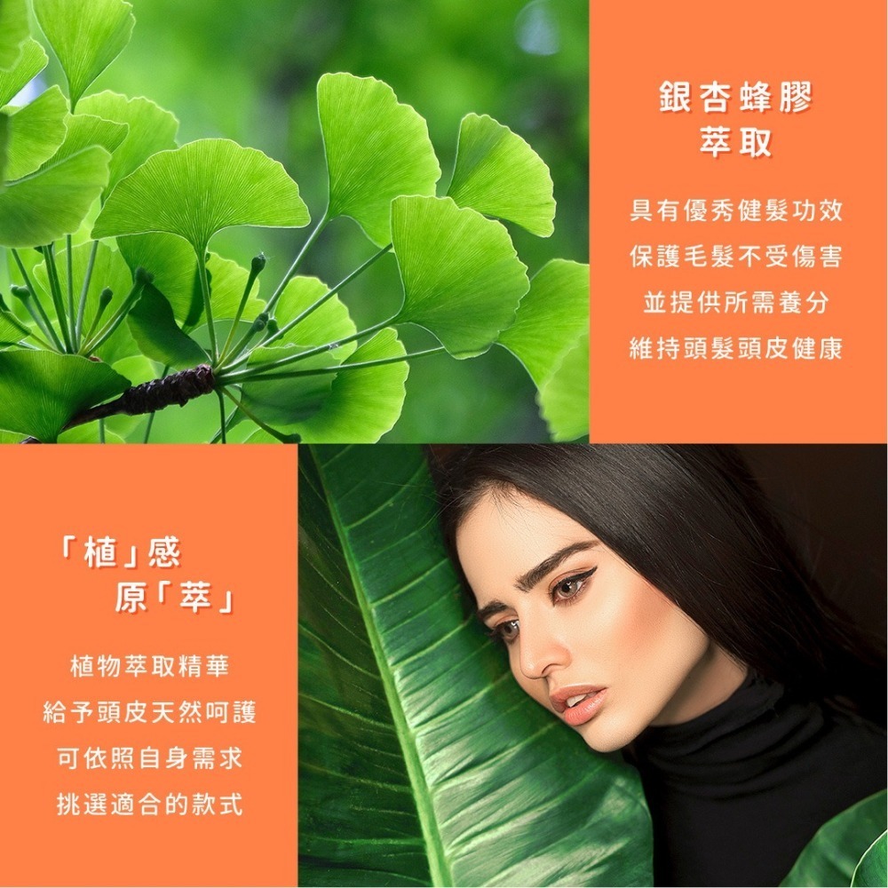 SSUNE 植感原萃洗髮精－銀杏蜂膠 1000ml／洗髮乳／強健髮根／改善頭皮／健髮／控油／銀杏萃取／蜂膠萃取-細節圖3