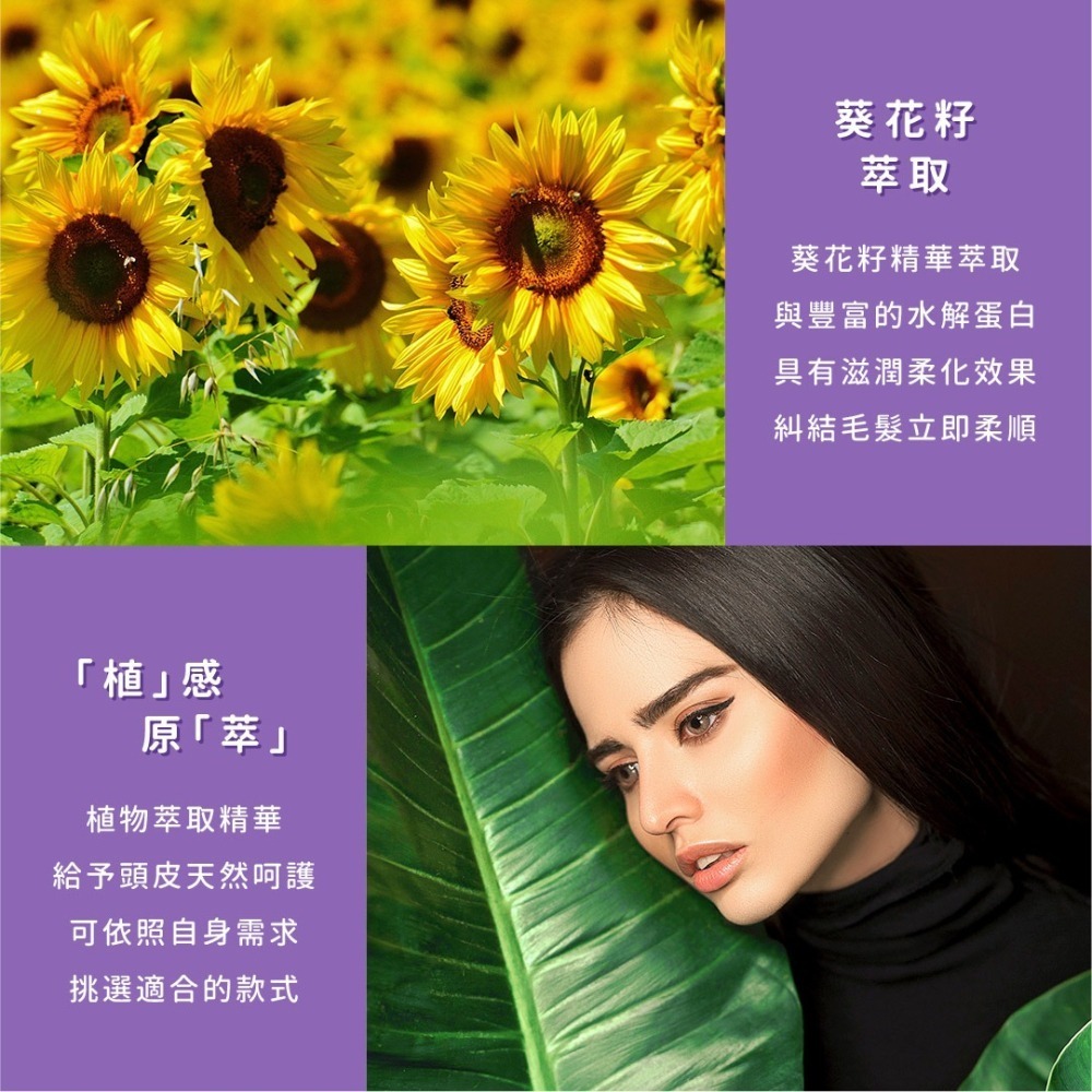 SSUNE 植感原萃洗髮精－葵花籽 1000ml／洗髮乳／保濕／滋潤／柔順／光澤／葵花籽萃取-細節圖3