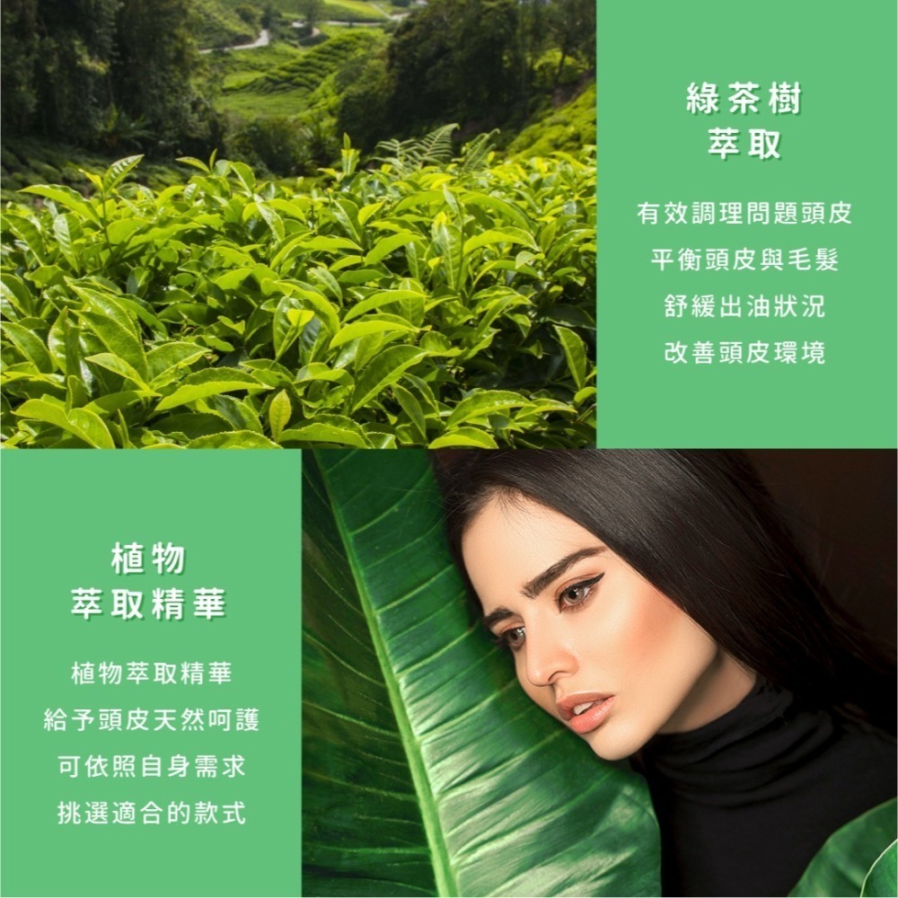 SSUNE 綠茶樹洗髮精 800ml／洗髮乳／清爽／舒緩頭皮／綠茶樹精油-細節圖3