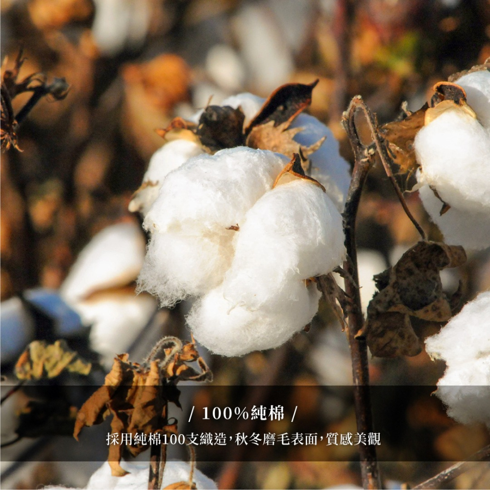 【100%純棉】100支長絨棉床單四件套（刺繡款）／床單／被套／雙人／婚慶四件組／新房／結婚用品-細節圖4