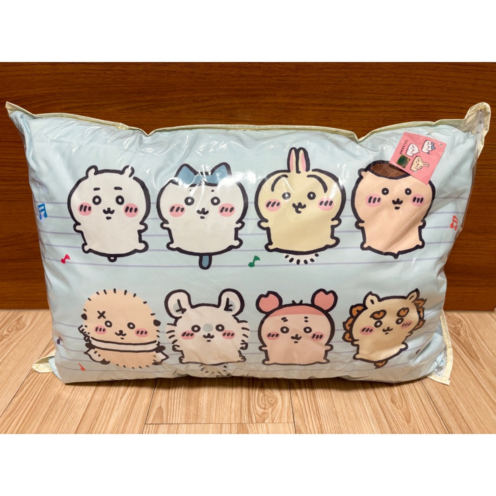 正版授權雷標 吉伊卡哇 中型枕頭60x38cm-細節圖3