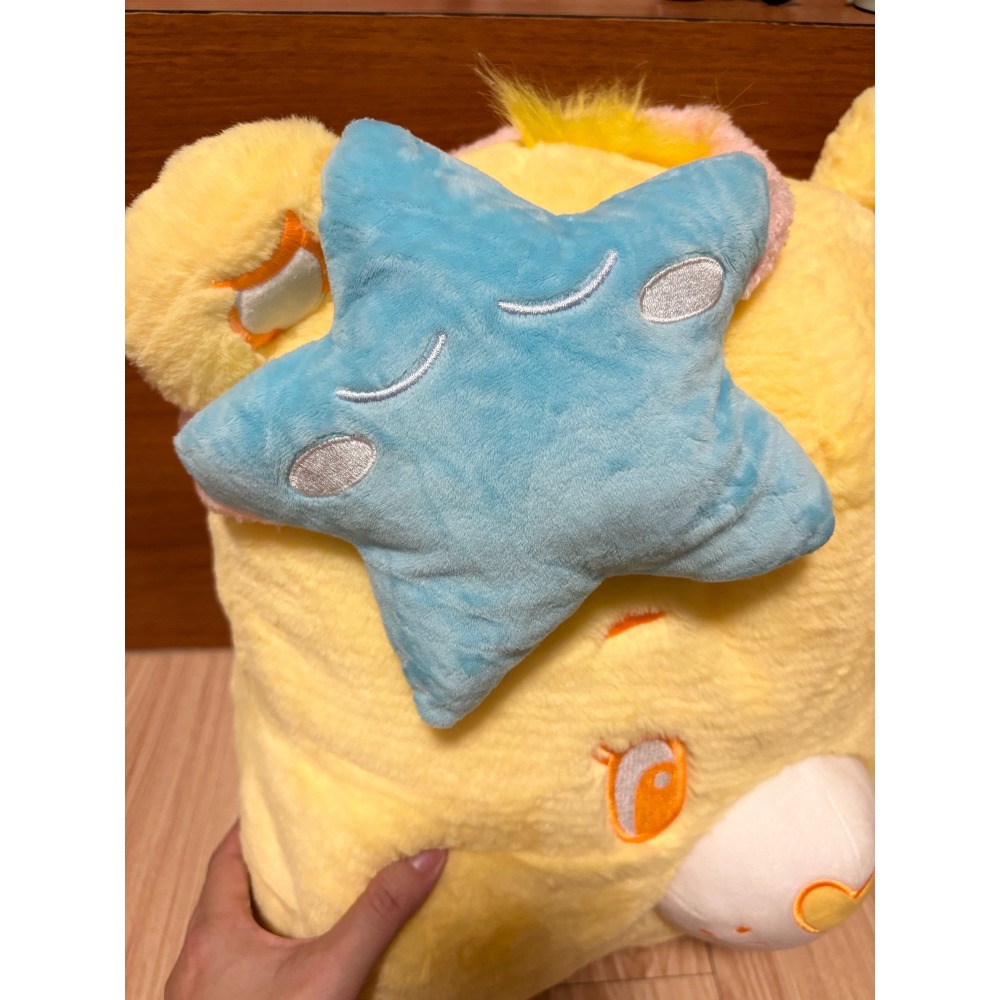 正版雷標 彩虹熊CareBears 大頭抱枕 靠枕-細節圖2