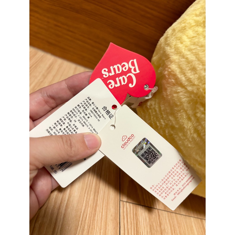 正版雷標 彩虹熊CareBears 大頭抱枕 靠枕-細節圖3