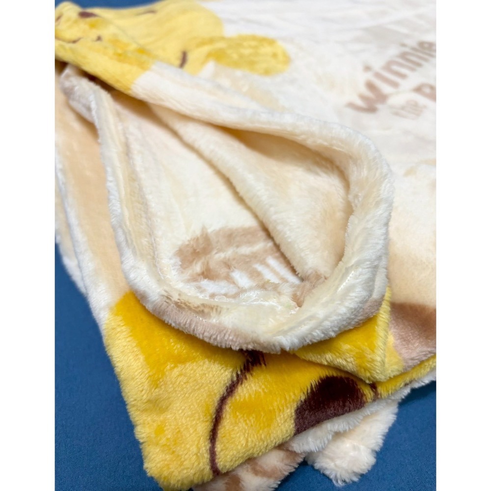 正版授權 迪士尼 熊抱哥 小熊維尼 黛西 加大空調毯 法蘭絨毯200x150cm-細節圖5