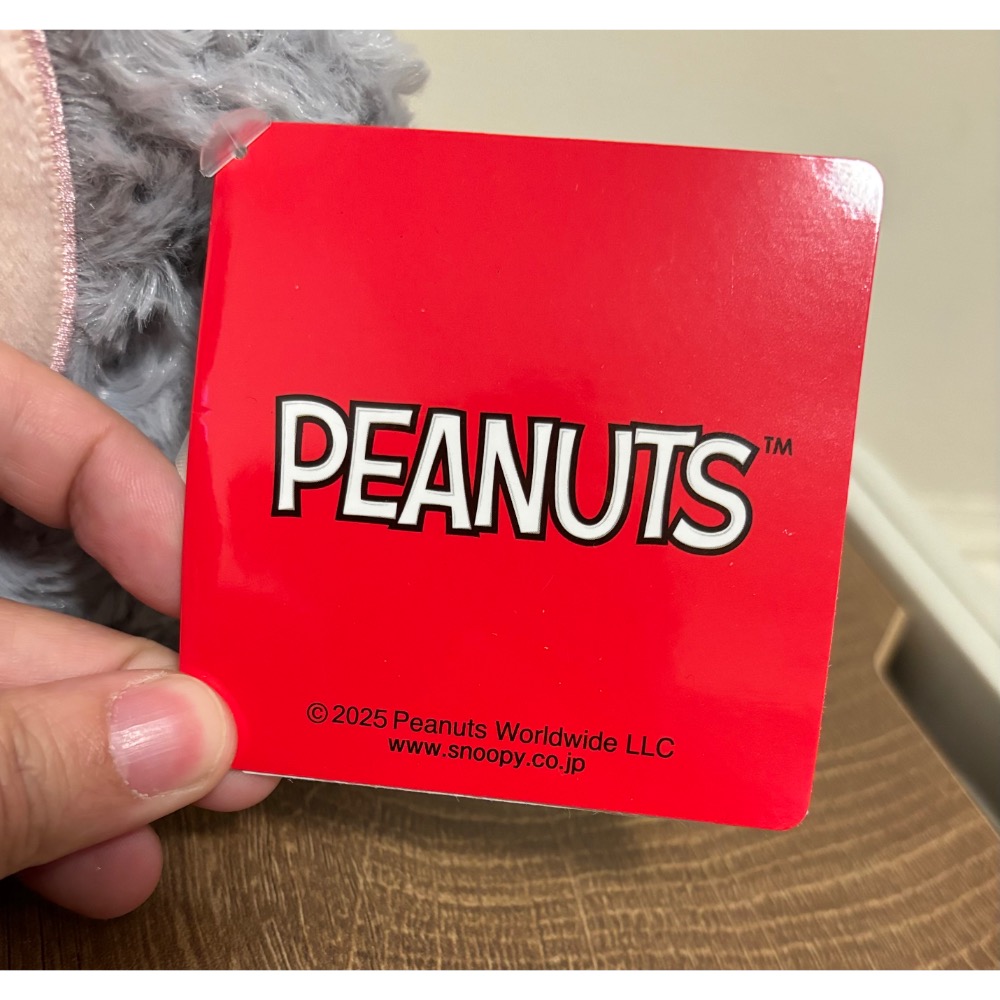 日本景品 史努比 snoopy 坐墊/靠墊/抱枕/靠枕-細節圖3