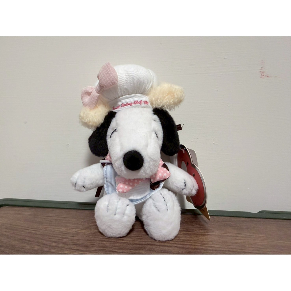 正版雷標 史努比 snoopy 娃娃吊飾 絨毛玩具吊飾-細節圖5