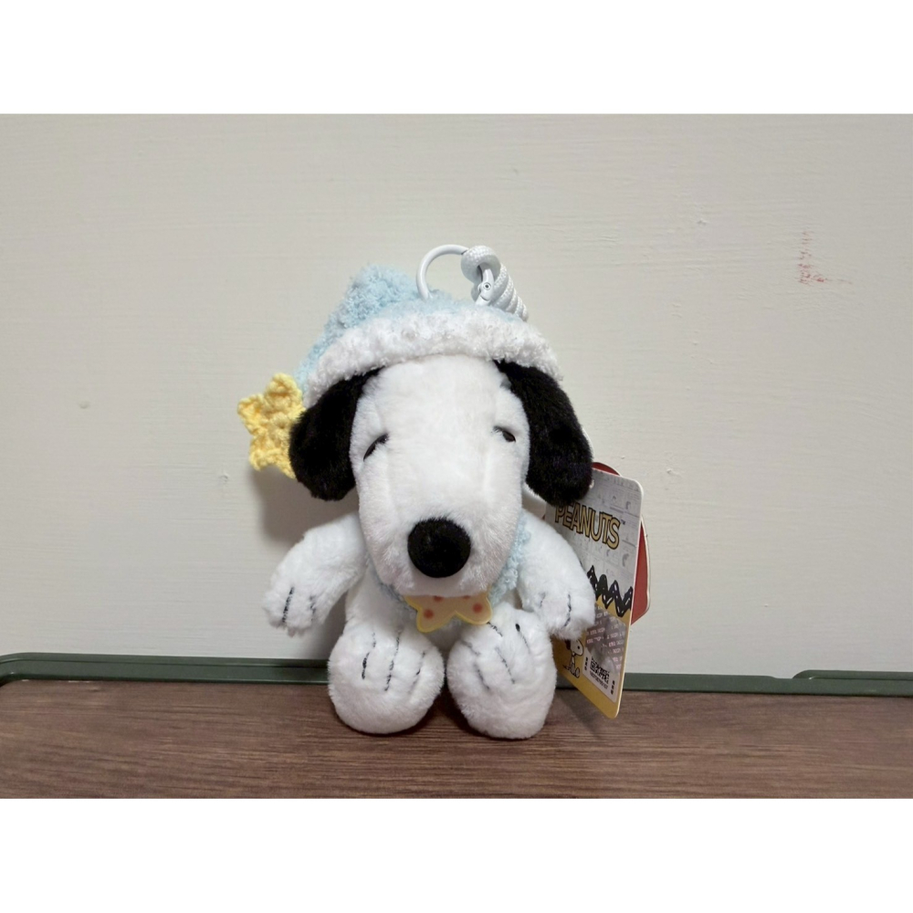 正版雷標 史努比 snoopy 娃娃吊飾 絨毛玩具吊飾-細節圖7