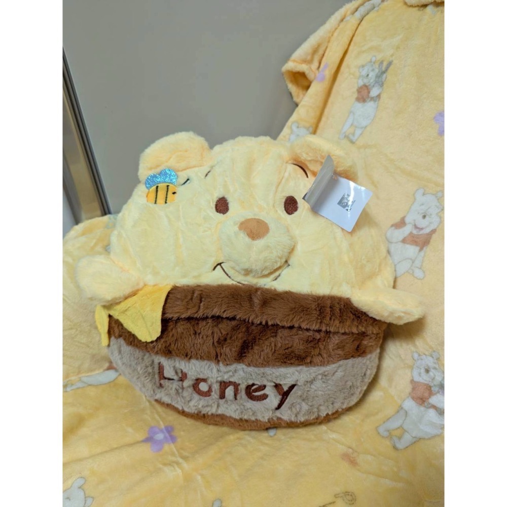 正版雷標 迪士尼 小熊維尼 熊抱哥 草莓熊 二合一 抱枕+毛絨毯-細節圖2