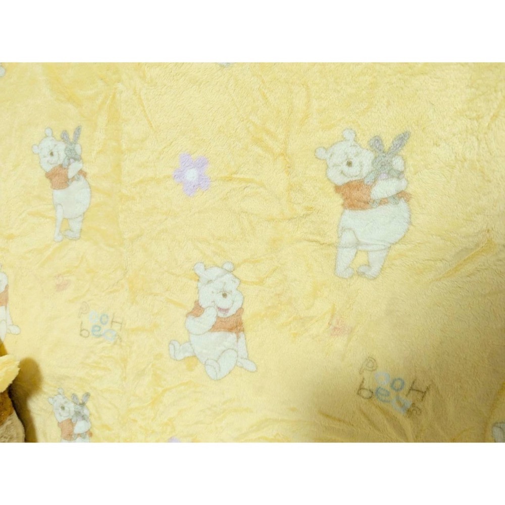 正版雷標 迪士尼 小熊維尼 熊抱哥 草莓熊 二合一 抱枕+毛絨毯-細節圖4