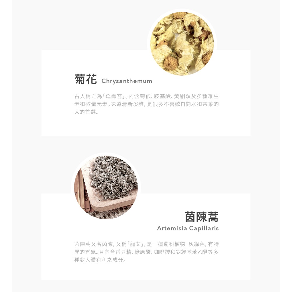 『 LABELLE 拉蓓 』養生菊花茶（1袋10包）-細節圖5