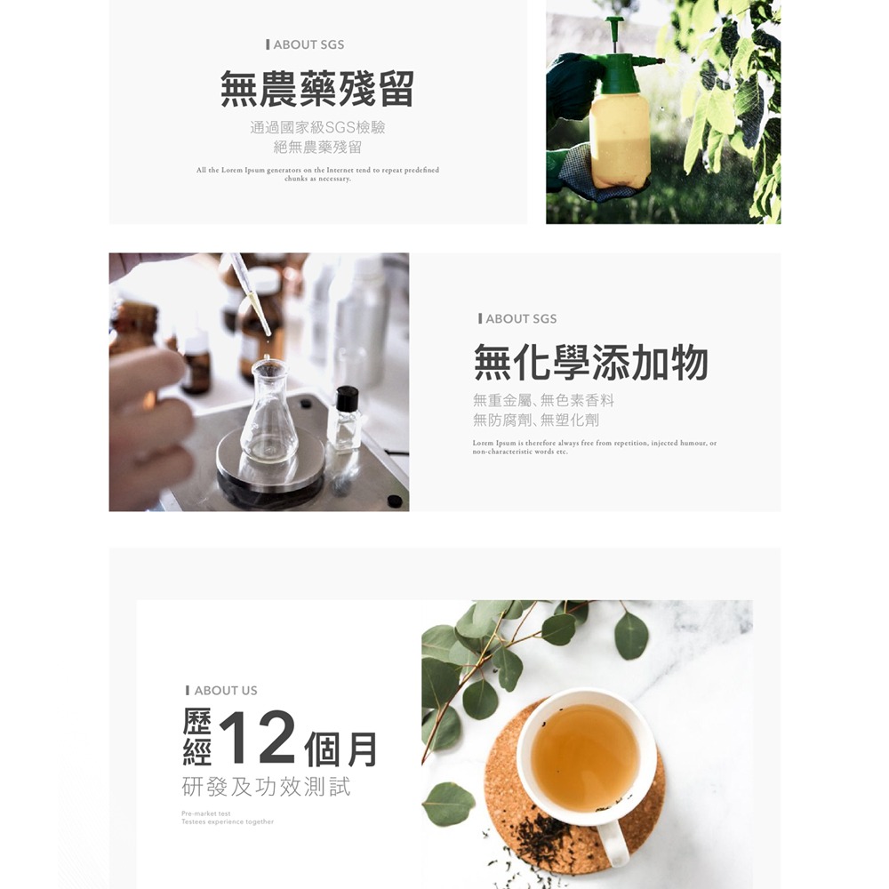 『 LABELLE 拉蓓 』養生菊花茶（1袋10包）-細節圖9