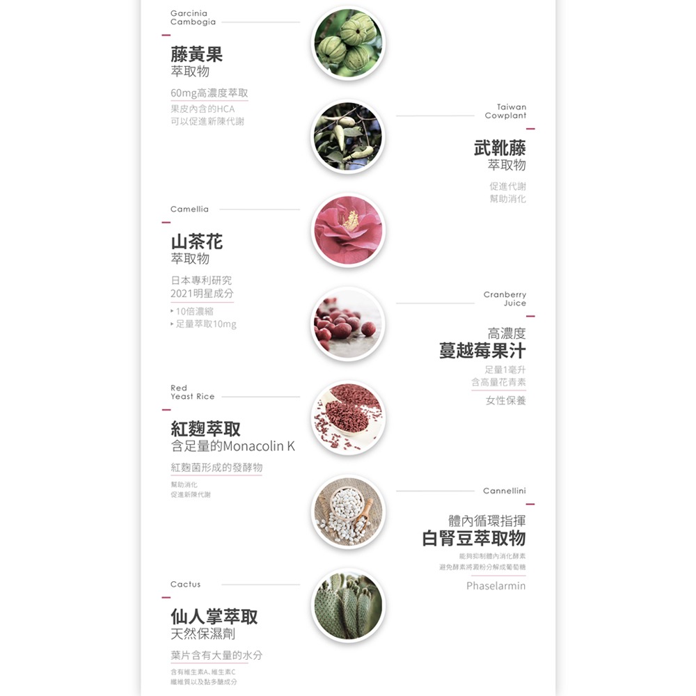 『 LABELLE拉蓓 』動能閃纖飲（1盒10條）-細節圖7