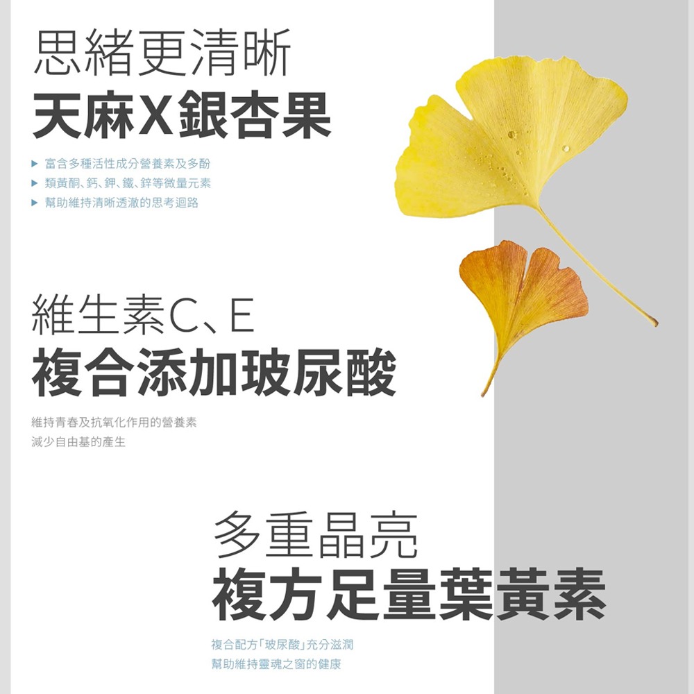 『 LABELLE 拉蓓 』葉黃透亮飲（1盒10條）-細節圖5