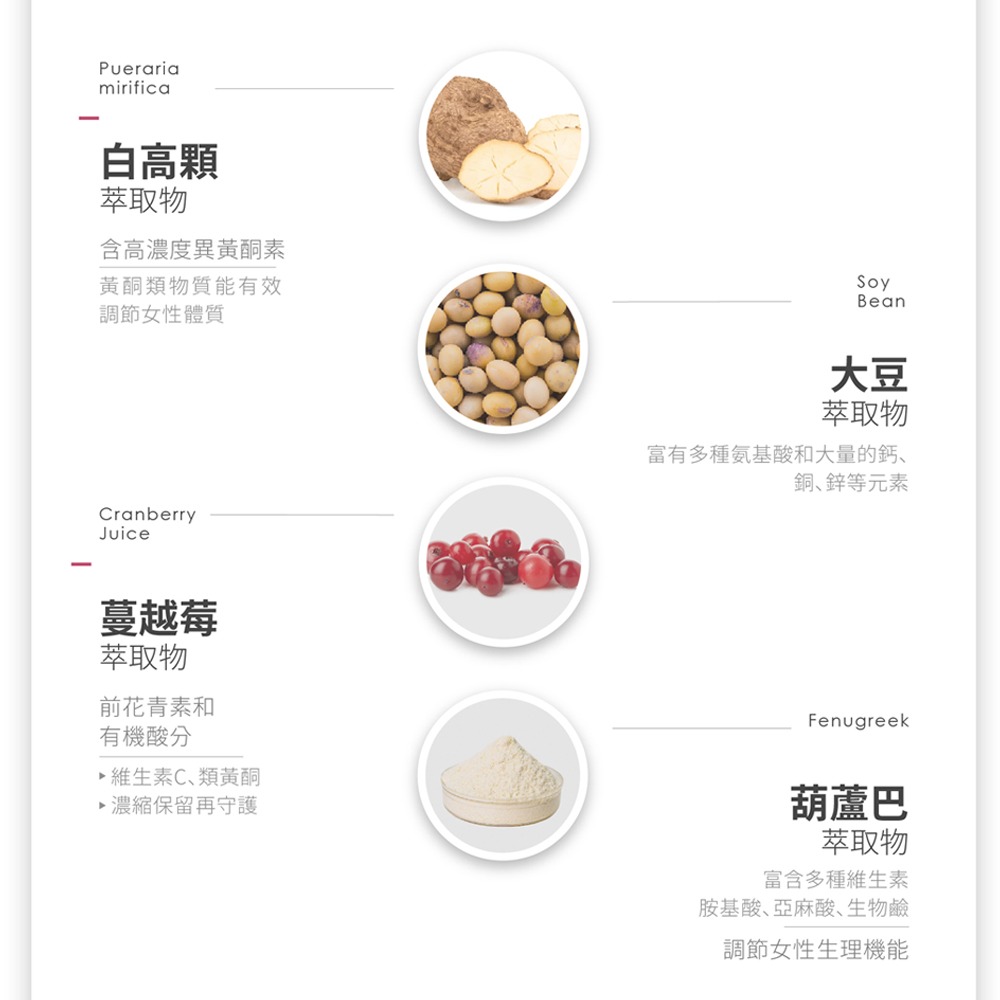 『LABELLE拉蓓』青木瓜豐盈飲（1盒10條)-細節圖6