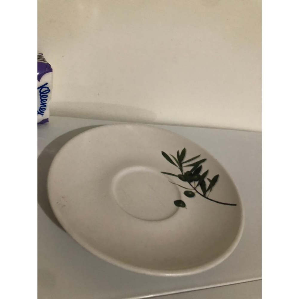 二手 🌿 雅致橄欖枝 美耐皿餐盤-細節圖2
