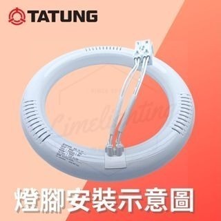 大同 LED 15W /  傳統 T8 30W 三波長 環型 螢光燈管 圓形燈管 省電燈泡 可取代東亞-細節圖3