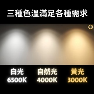 飛利浦 DN030B DN032B DN030 6W 10.5W 14W 18W 23W 嵌燈 附快速接頭 含稅-細節圖4