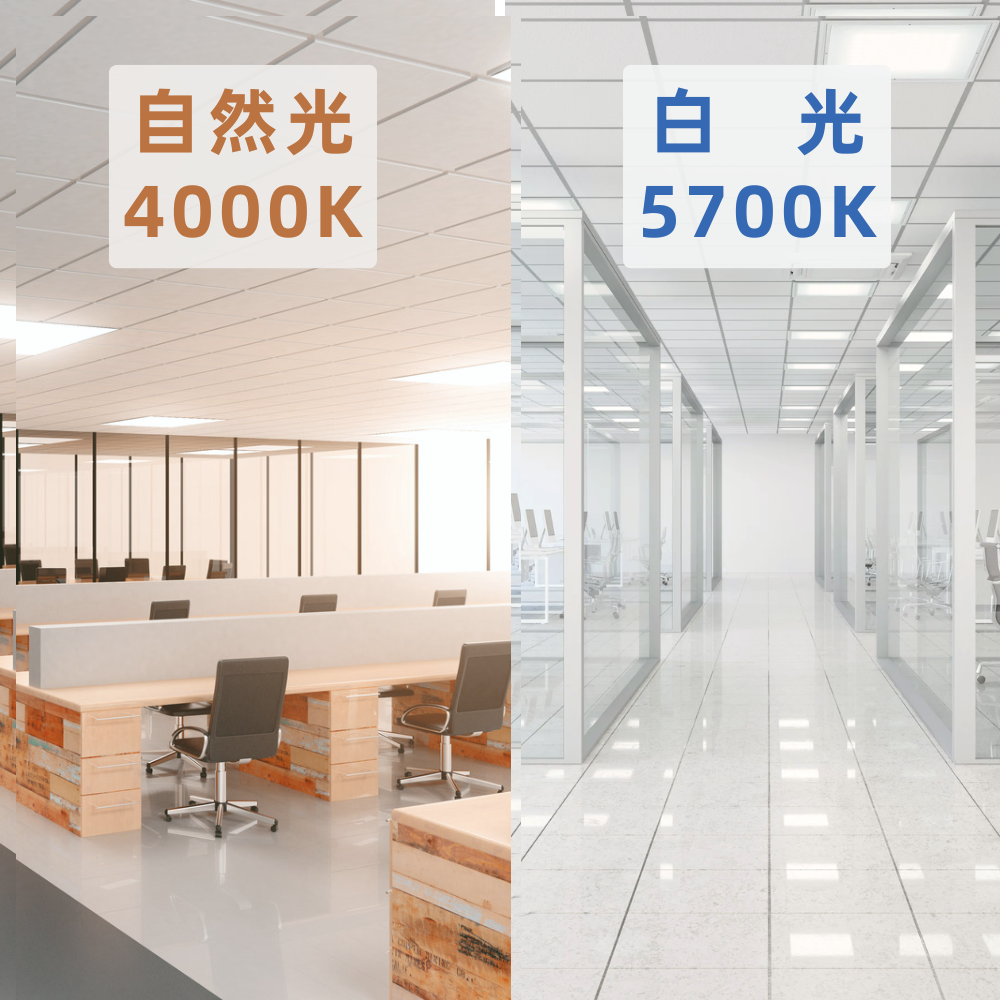 億光 LED 40W 直下式 平板燈 輕鋼架燈 全電壓 崁入式-細節圖5