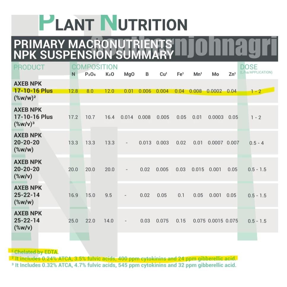 【約翰南農】肥勇大1L裝 催花 果實催甜催大著色專用 細胞活化 半胱氨酸 細胞分裂素 勃激素 抗氧化抗逆境 微量元素-細節圖4