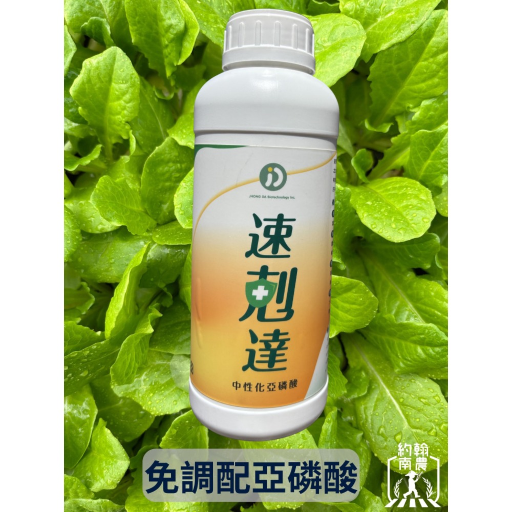 1L裝
