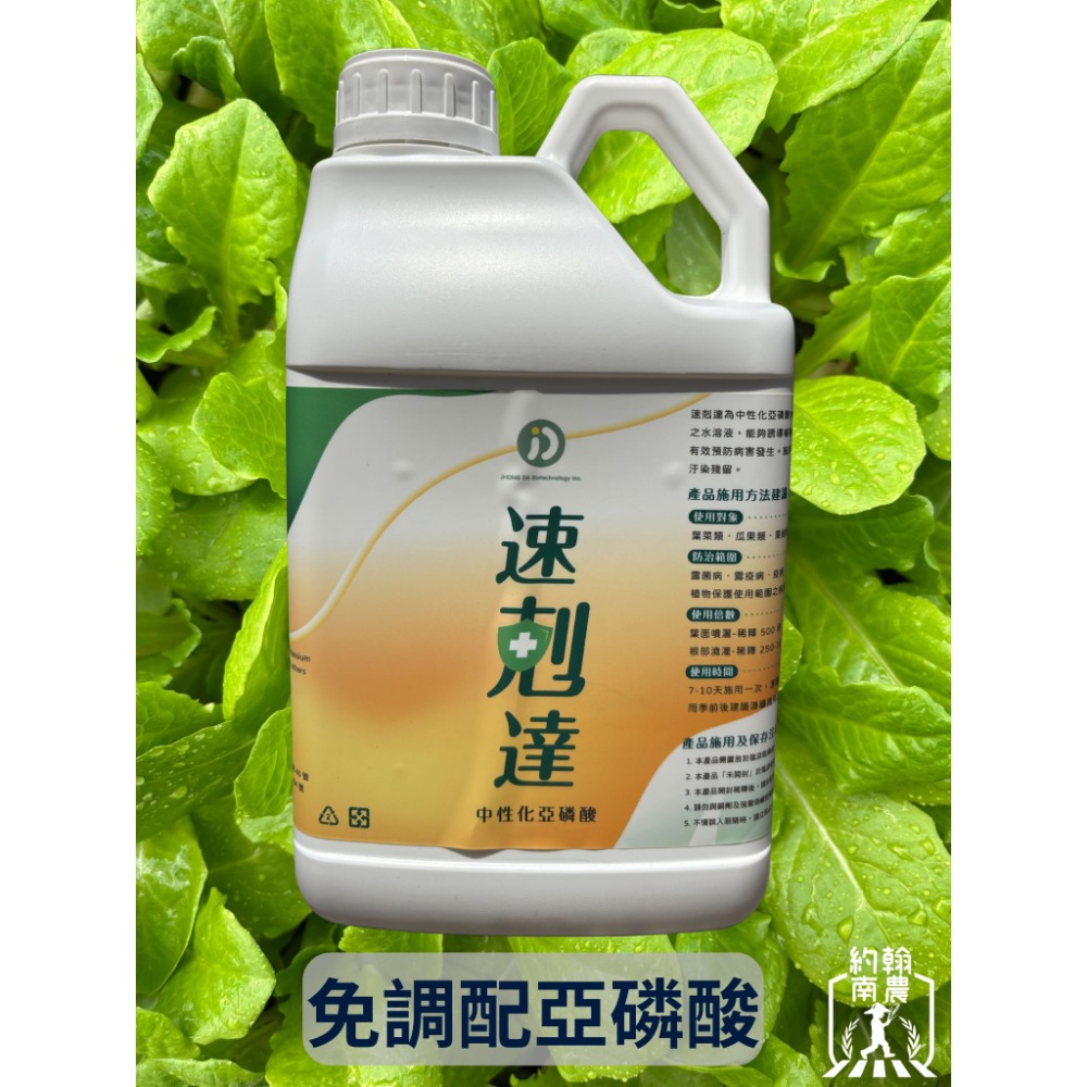 3L裝