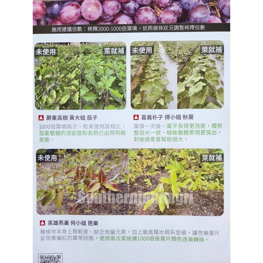 【約翰南農】廣威隆萊就補 微量元素粉狀 著色 增甜 葉片翠綠 缺鎂硼鋅錳鐵銅 蓮霧 芒果 葉菜 番茄 芭樂-細節圖3