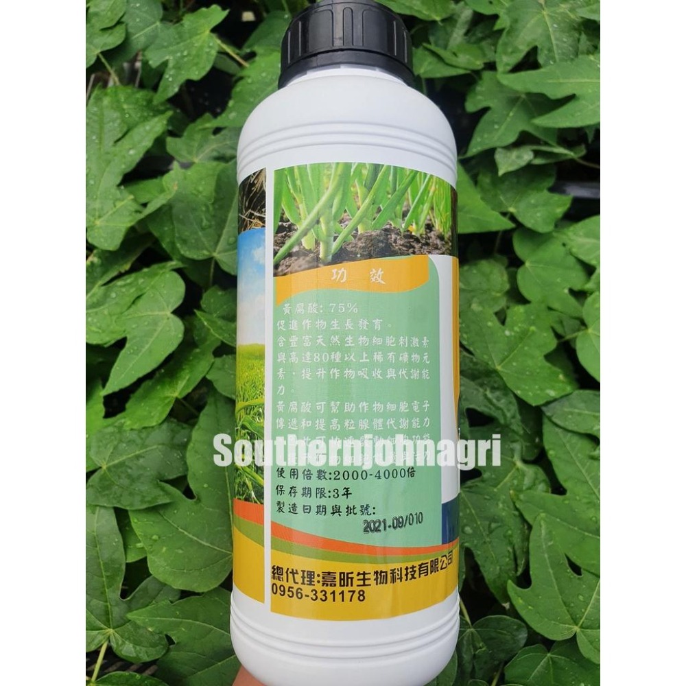 【約翰南農】美國進口純度極高黃腐酸 1公升裝 腐植酸鉀 鎂 鈣 葉面 開根 功效 玫瑰 觀葉植物 雨林植物 土壤改良必備-細節圖2