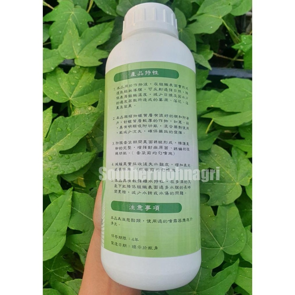 【約翰南農】優鮮旺水溶性液臘 防植物睡午覺曬傷寒害 保鮮 觀葉植物龜背芋增大葉片 代替啤酒擦葉片 變亮  雨林植物 玫瑰-細節圖2