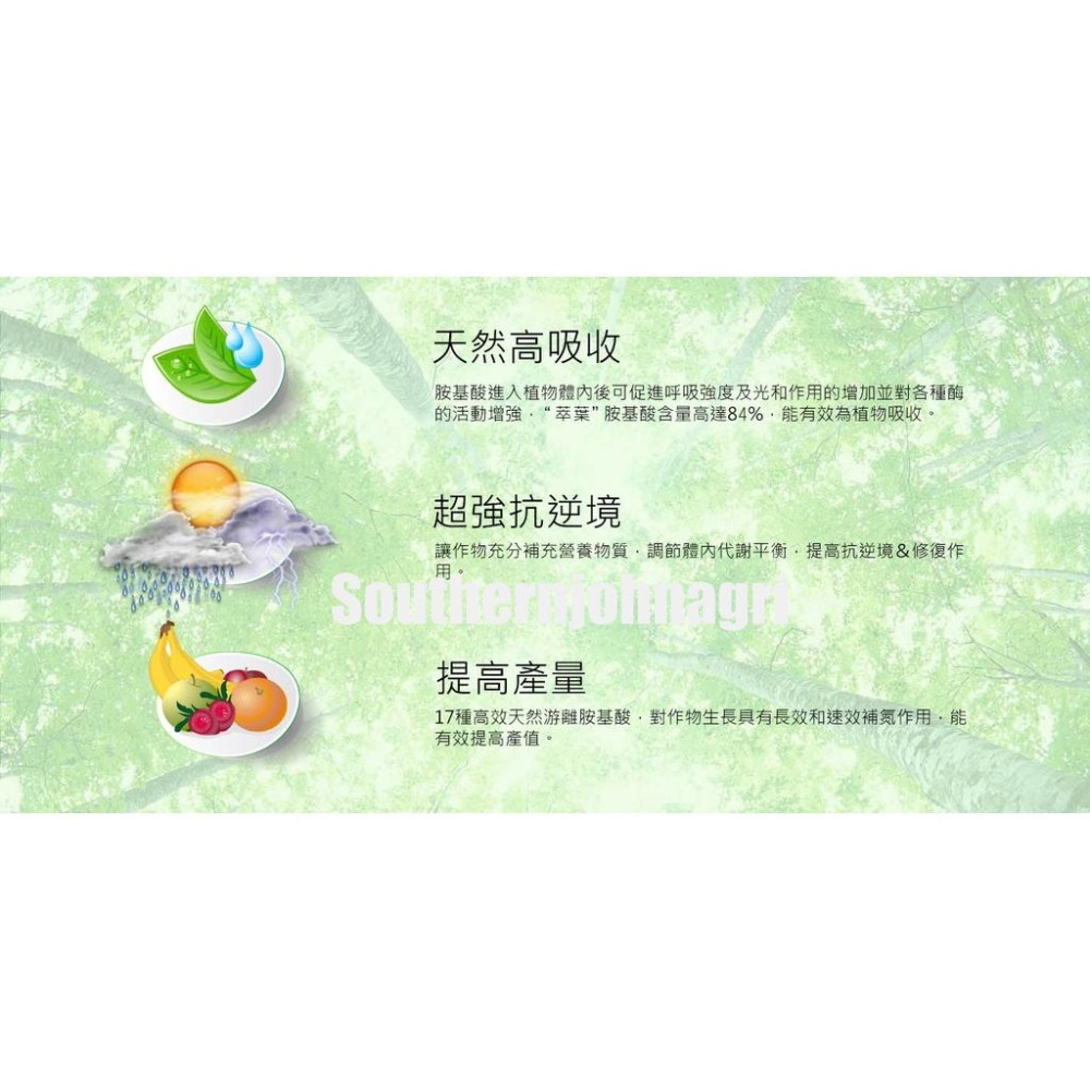 【約翰南農】 萃葉左旋胺基酸葉肥 500公克 觀葉植物 陽台植物 玫瑰 鹿角蕨 多肉 龜背芋 琴葉榕 可取代綠馨1號-細節圖2