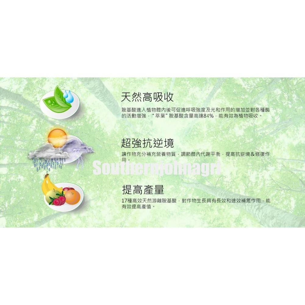 【約翰南農】 萃葉左旋胺基酸葉肥 500公克 觀葉植物 陽台植物 玫瑰 鹿角蕨 多肉 龜背芋 琴葉榕 可取代綠馨1號-細節圖2