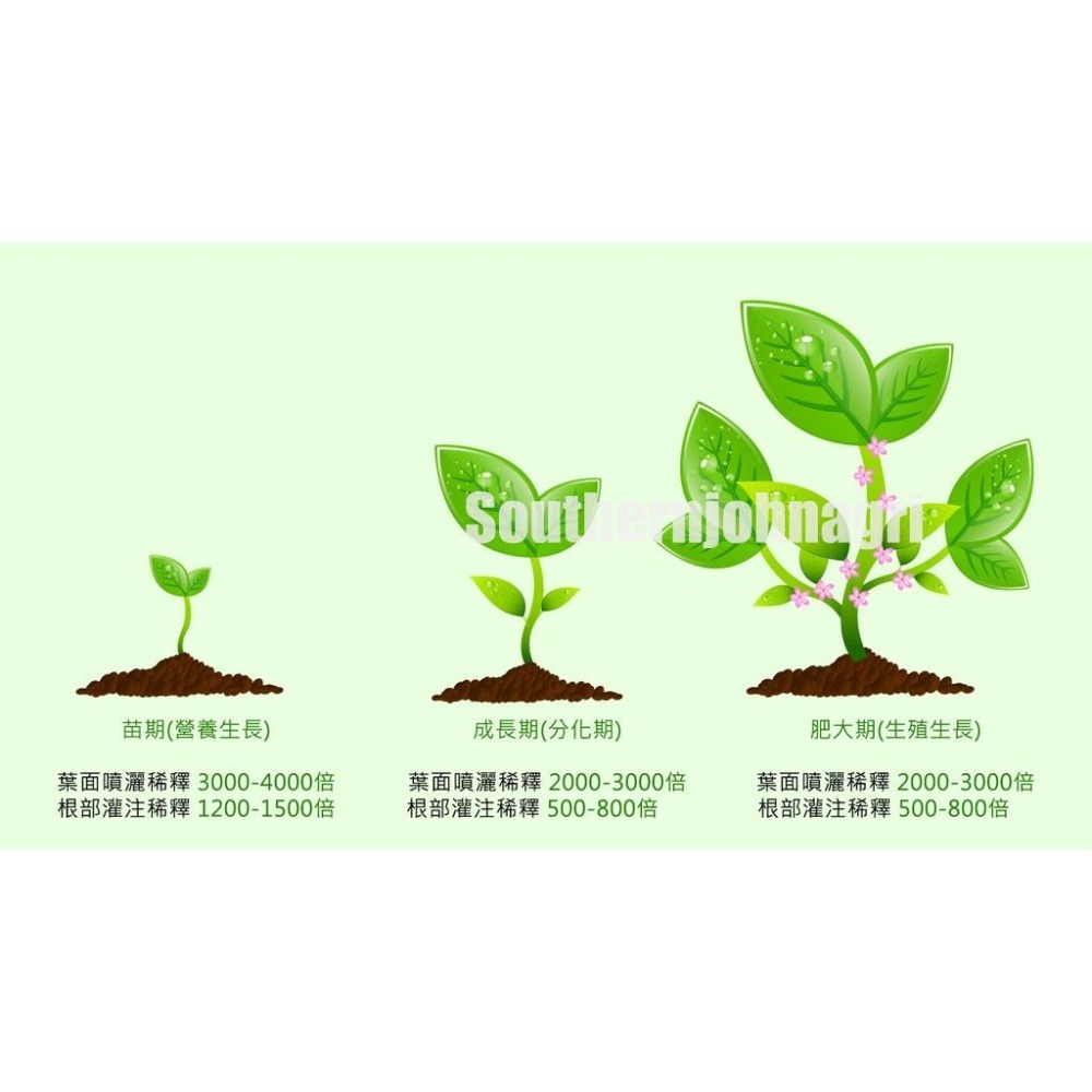 【約翰南農】 萃葉左旋胺基酸葉肥 500公克 觀葉植物 陽台植物 玫瑰 鹿角蕨 多肉 龜背芋 琴葉榕 可取代綠馨1號-細節圖3