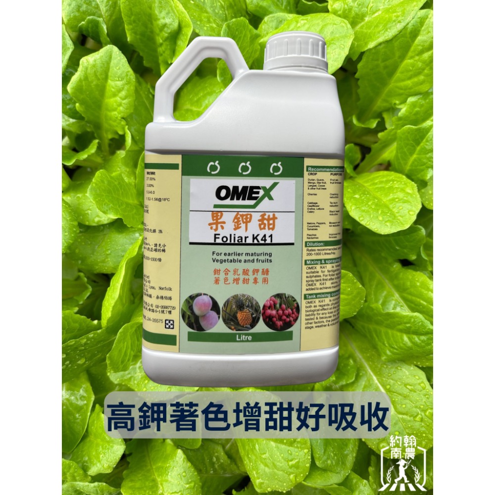 3L大罐裝
