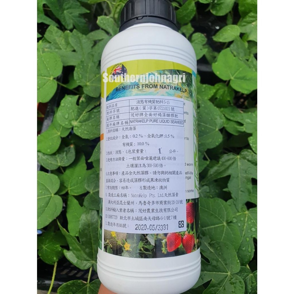[約翰南農]全面好-褐藻醣膠 1公升/3公升裝 玫瑰 葉菜 促進開花著果 葉片變大  碳醣 多醣體 海藻精 海草精-細節圖2