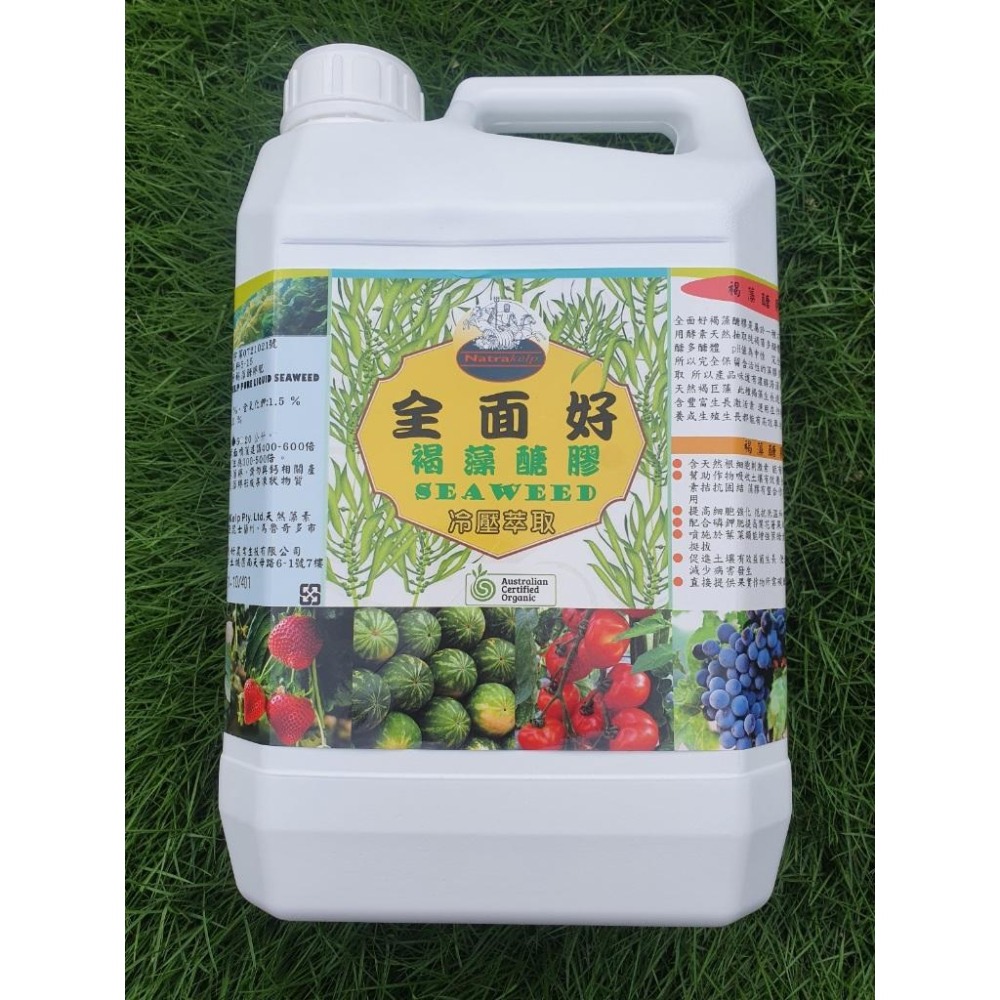 [約翰南農]全面好-褐藻醣膠 1公升/3公升裝 玫瑰 葉菜 促進開花著果 葉片變大  碳醣 多醣體 海藻精 海草精-細節圖4