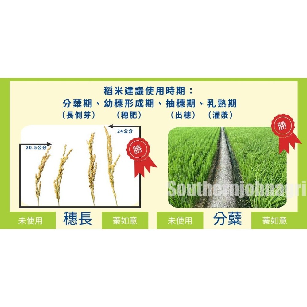 【約翰南農】廣威隆 蓁如意 500g、水稻、豆科專用配方 提高產量 蔬菜 含高含量有機質 胺基酸 粉狀肥料-細節圖2
