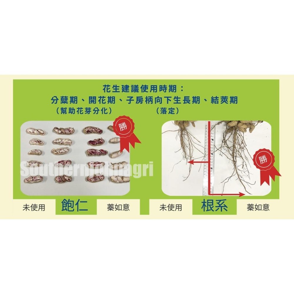 【約翰南農】廣威隆 蓁如意 500g、水稻、豆科專用配方 提高產量 蔬菜 含高含量有機質 胺基酸 粉狀肥料-細節圖3