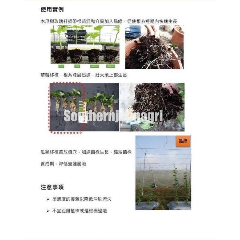【約翰南農】晶綠緩效肥  5公斤原裝  肥料 移植 幫助開根 不易肥傷 鹿角蕨 玫瑰 龜背芋 多肉 草莓-細節圖4