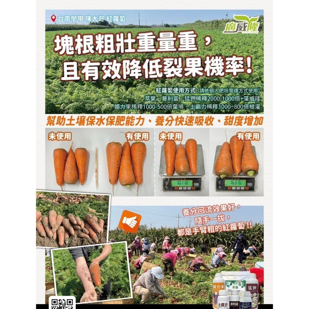 【約翰南農】土霸力500ml 廣威隆 打破高低溫逆境障礙 植物生長遲緩專用 暴力開根專用 暴力增產增重專用 作物回魂專用-細節圖5