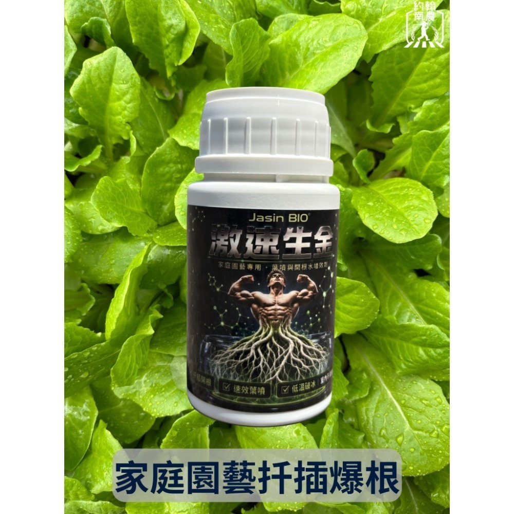 100ml