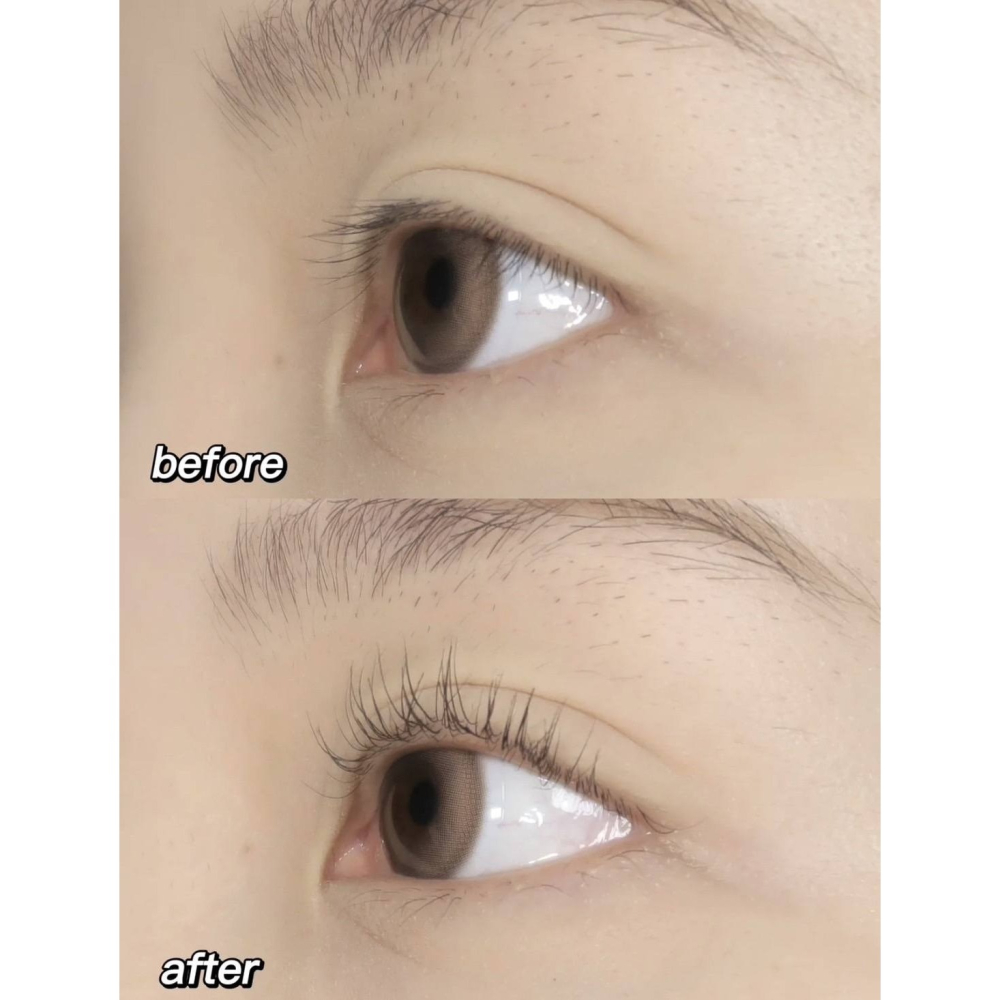 爆款睫毛夾-細節圖2