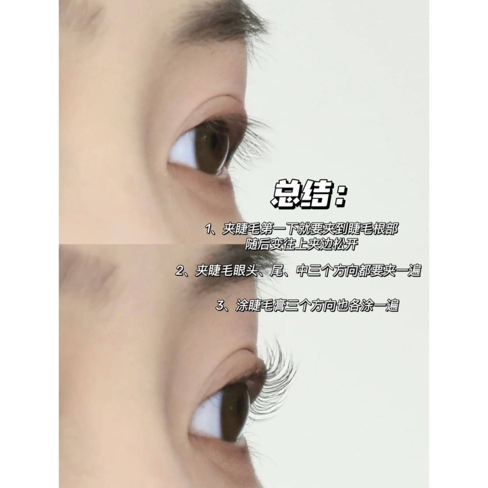 爆款睫毛夾-細節圖5