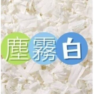 現貨速發 妖寵記紙棉400g 純木漿 倉鼠 黃金鼠 侏儒鼠 四季通用 安心用墊材-規格圖2